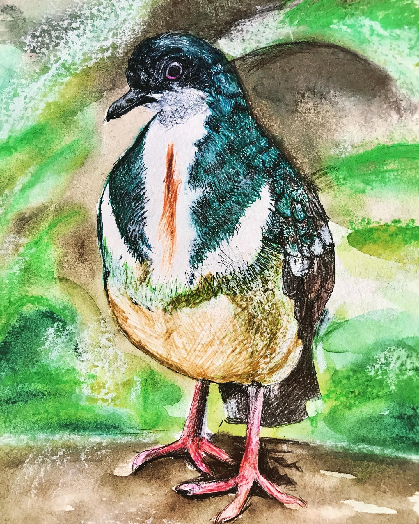 NEGROS BLEEDING HEART 2022