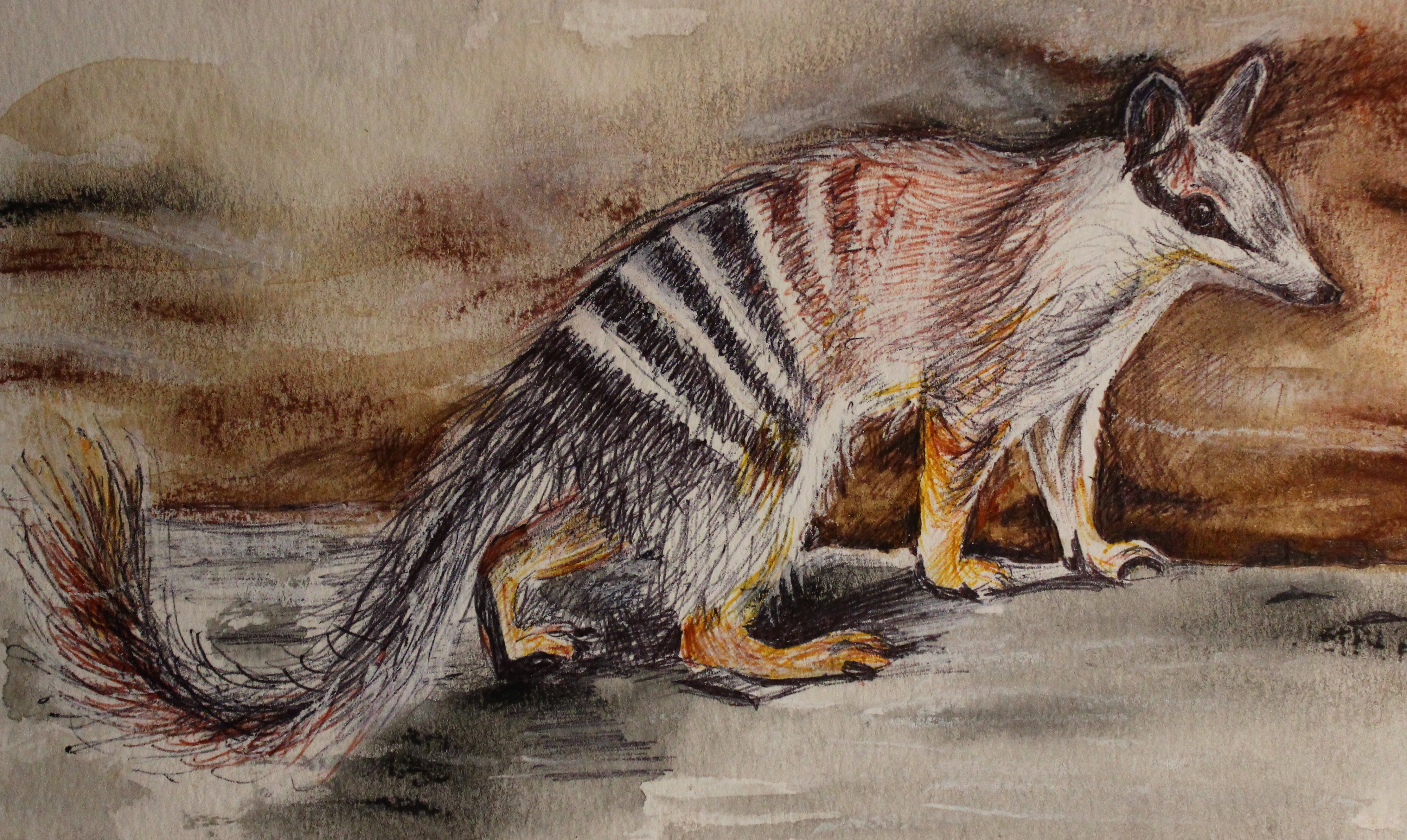 NUMBAT 2022