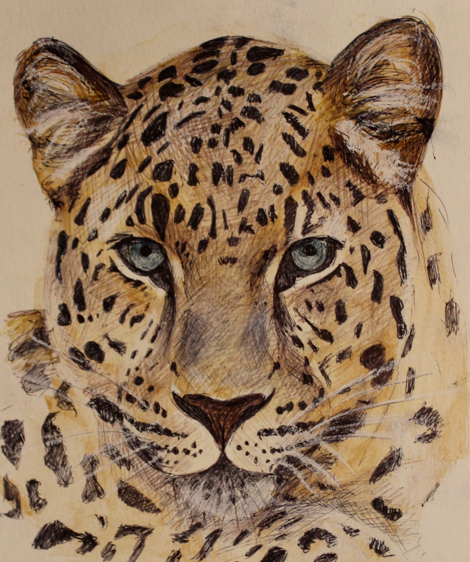 AMUR LEOPARD 2021