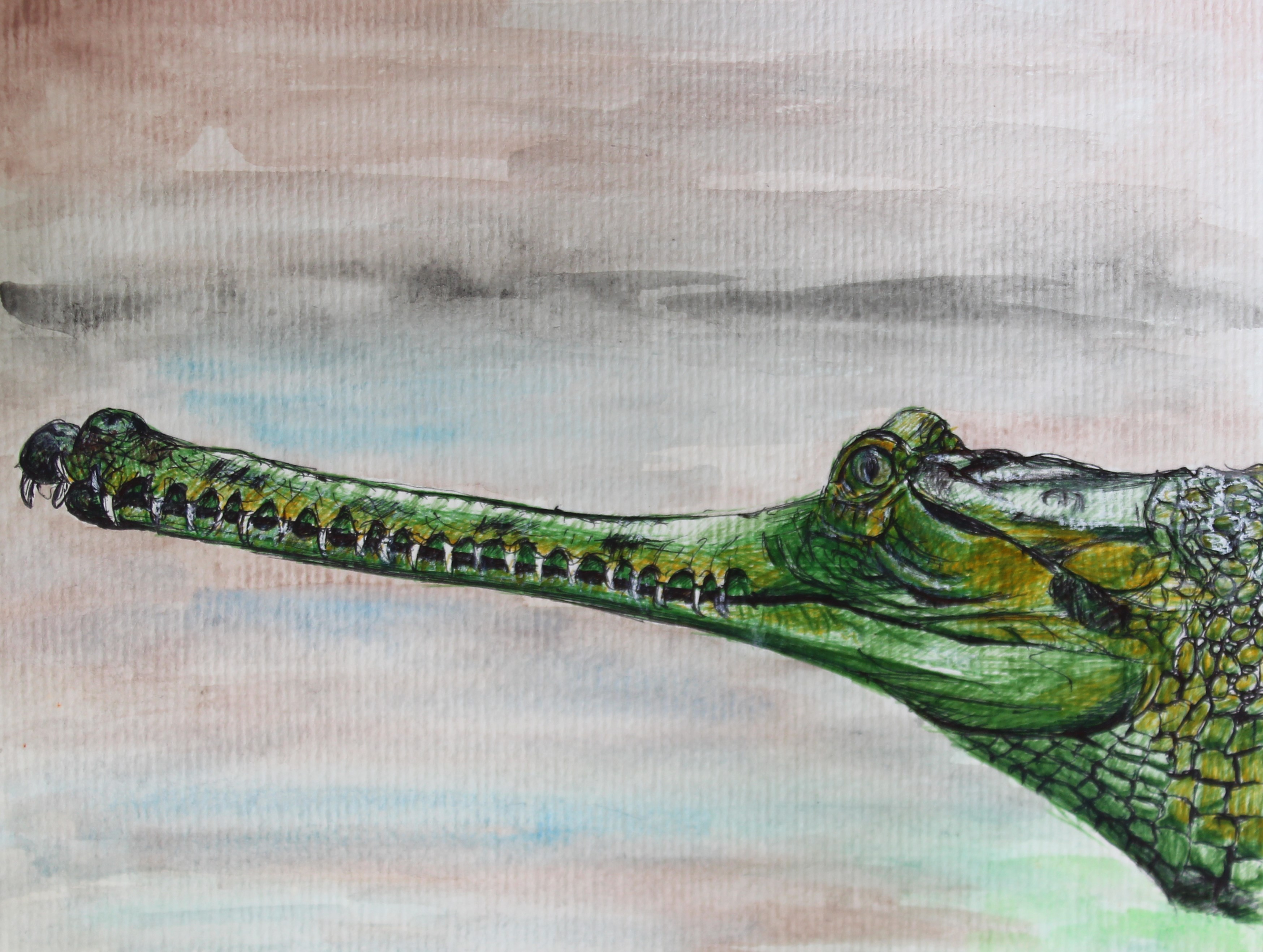 GHARIAL 2023